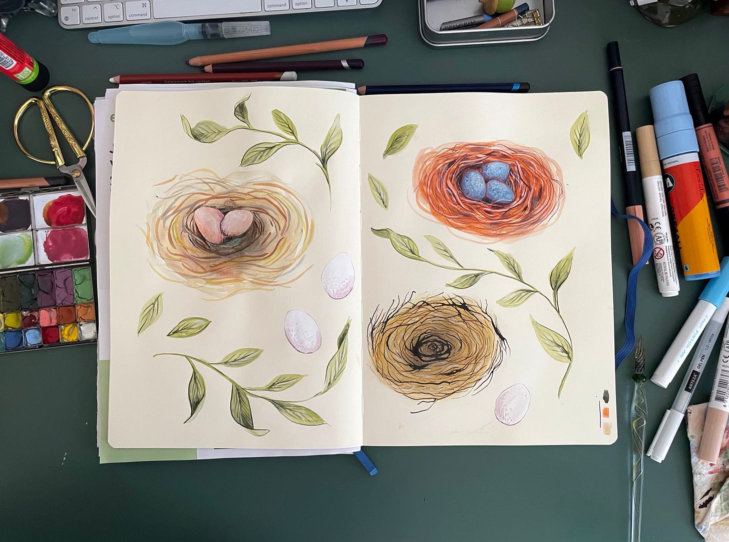 a sketchbook with 3 drawings of a nest and eggs and leaves around it