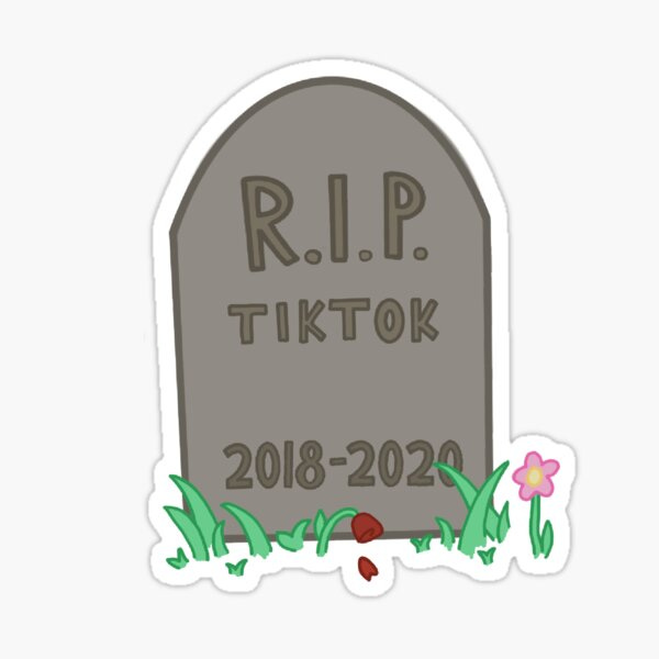 Rip Tiktok Grave Merch & Gifts for Sale | Redbubble