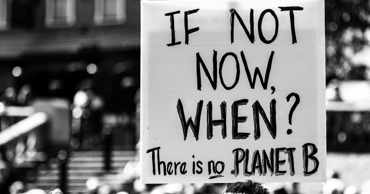 A common environmental slogan, "If Not Now Then When - There is no Planet B", serves as a harsh reminder that our "now" is relentlessly filled with the same fight.