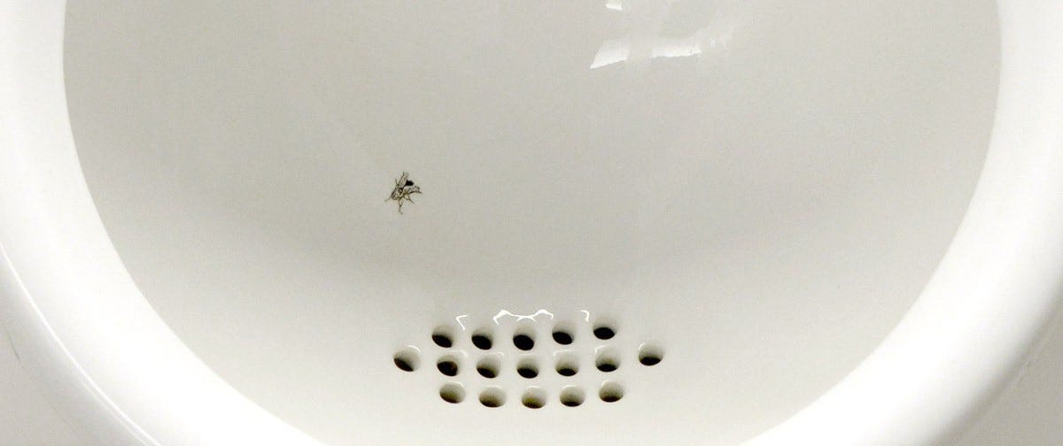 A Fly in the Urinal: Nudges for Hybrid Work