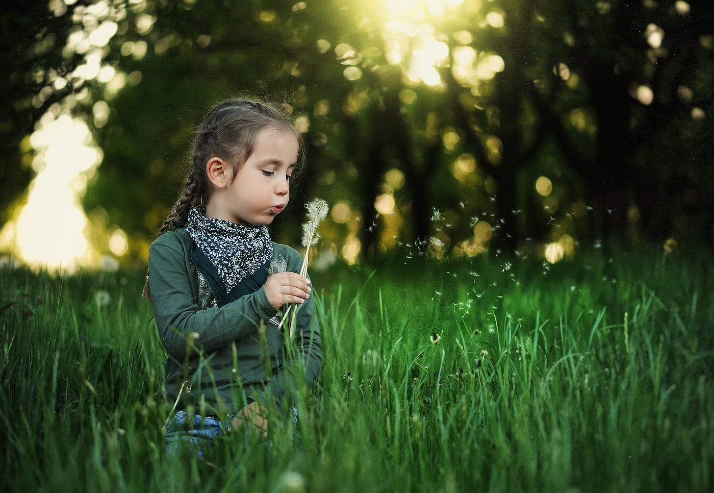 Young girl in a field, blowing dandelions
