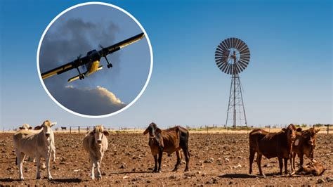 Cloud seeding not an option for drought-ravaged Australia | 7NEWS