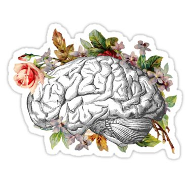 Pegatina for Sale con la obra «Cerebro con flores» de laineregen |  Pegatinas bonitas, Pegatinas, Pegatinas wallpaper