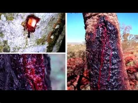The Crimson worm (de scharlaken worm) - YouTube