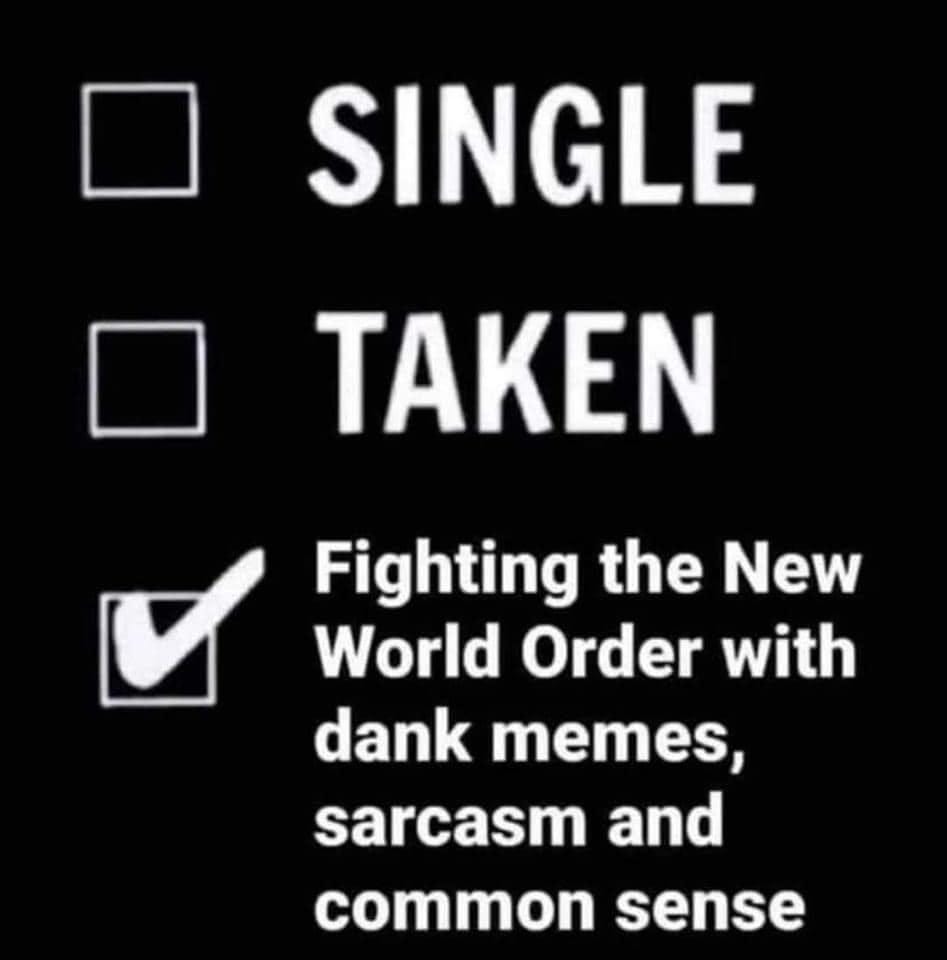 May be an image of text that says 'SINGLE TAKEN Fighting the New World Order with dank memes, sarcasm and common sense'