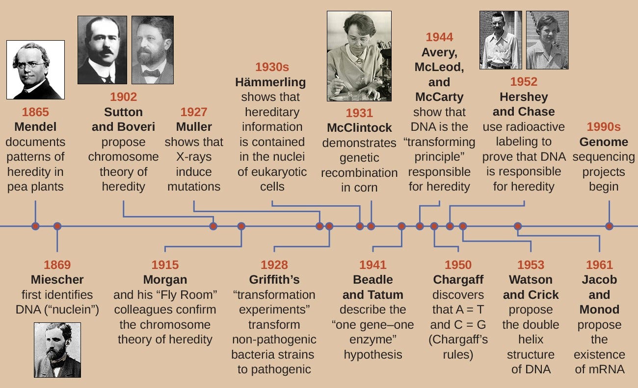 A timeline. 1865: Mendel documents patters of heredity in pea plants. 1869L Miescher first identifies DNA (