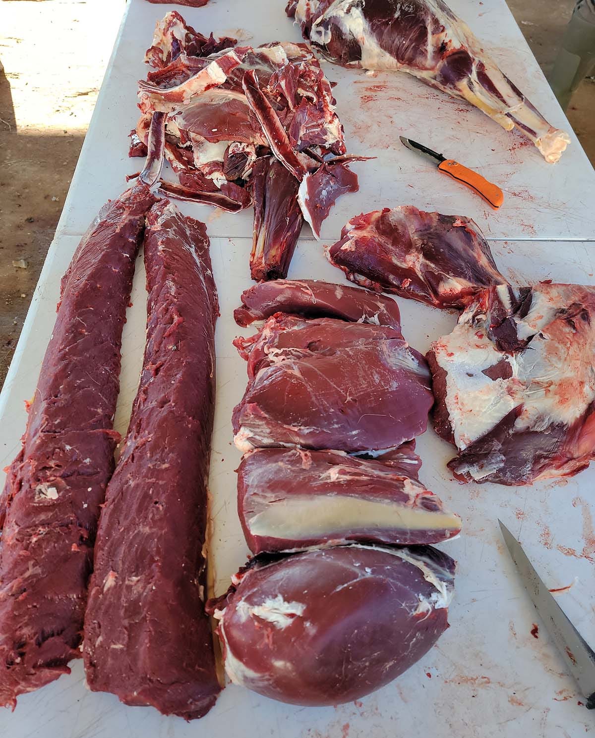 Butchered cuts of venison, ready for packaging. 