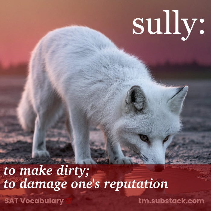 Illustration of a cute arctic fox near a muddy puddle; used to illustrate the SAT word 'sully'.