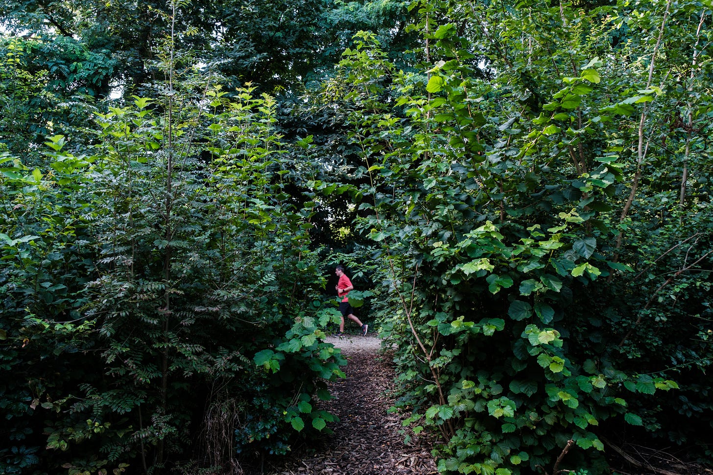 Car Park Forest in Mechelen, Belgium. Courtesy of SUGi.