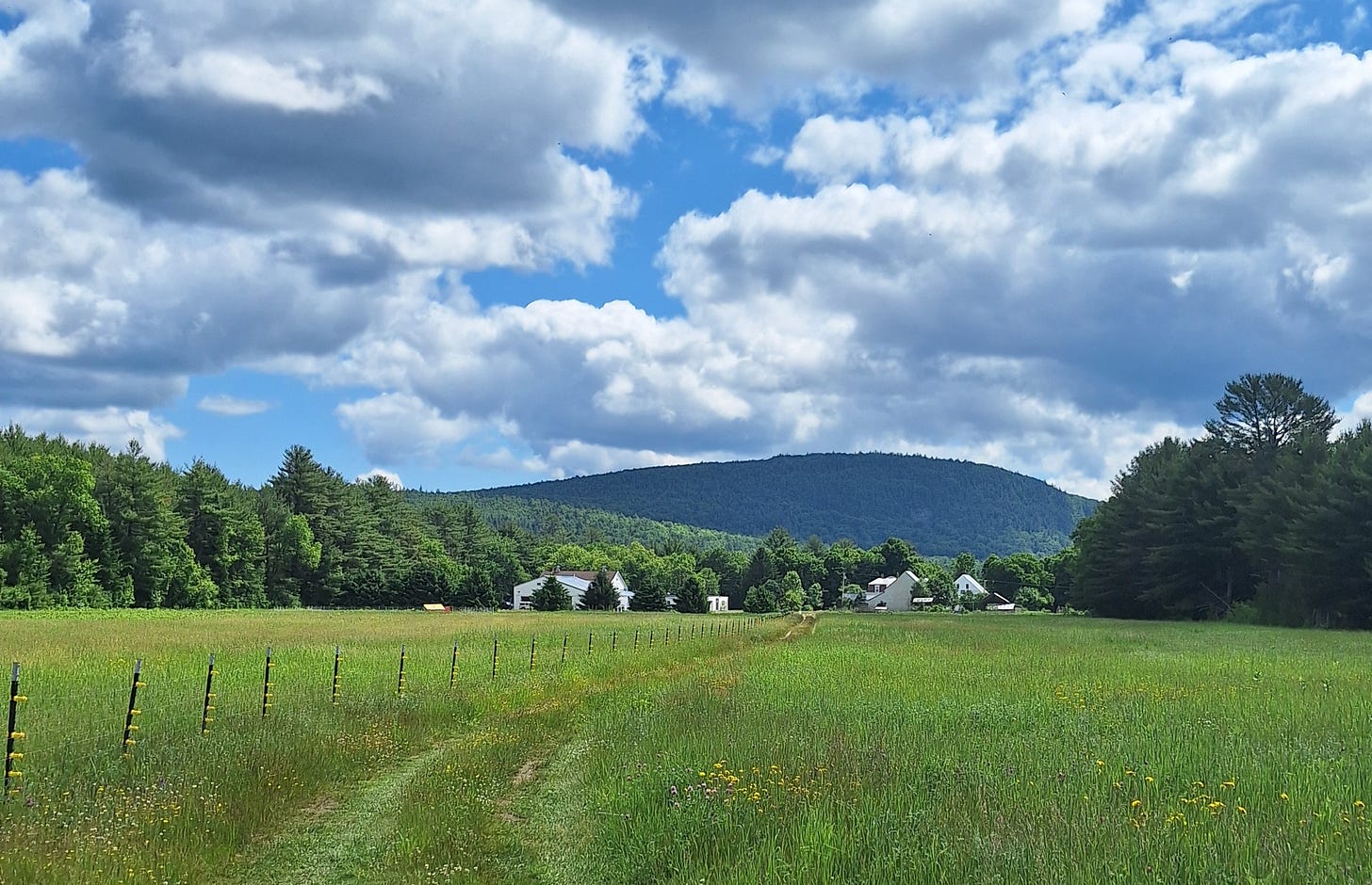 mid-life transition farming