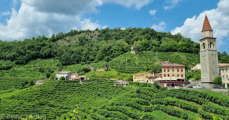 A picture of the Prosecco wine region, Italy