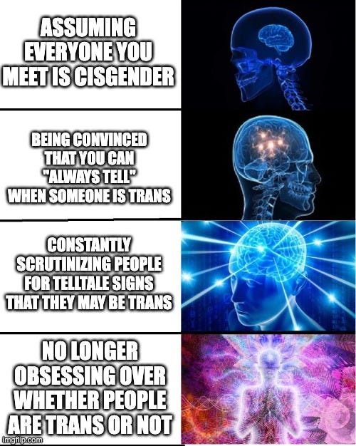 image of the classic "Galaxy Brain" meme, with four panels depicting an expanding brain from "tiny" to "at one with the universe". I personally captioned the four panels as follows: 1) assuming everyone you meet is cisgender, 2) being convinced that you can "always tell" when someone is trans, 3) constantly scrutinizing people for telltale signs that they may be trans, 4) no longer obsessing over whether people are trans or not