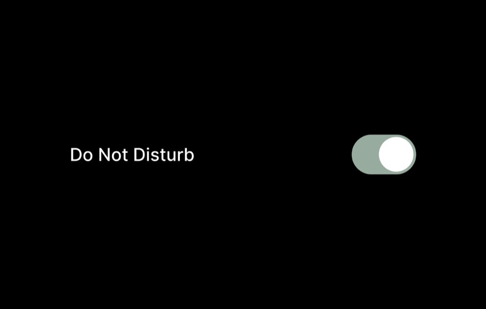 Na zdjęciu przycisk Do Not Disturb.