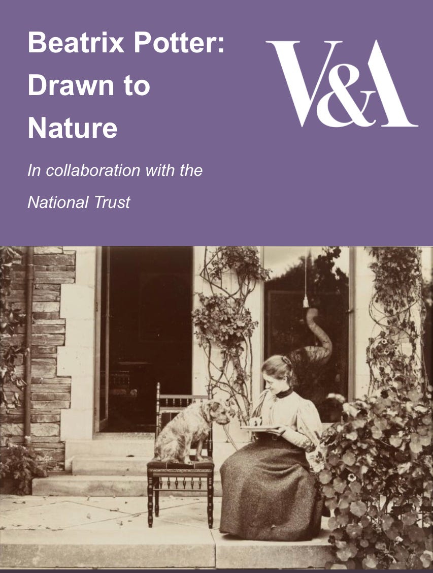 Poster for an exhibition on Beatrix Potter: Drawn to Nature