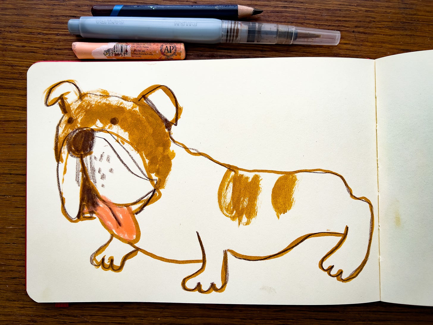 illustration of bulldog stretching by Beth Spencer