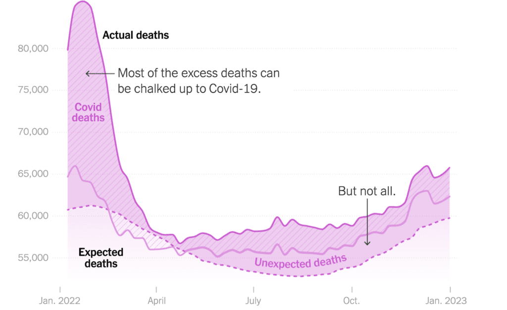 Line graph showing actual deaths compared to expected deaths. Y-axis ranges from 55,000 - 85,000 deaths, the x-axis is Jan 2022 to Jan 2023. Actual deaths have a magenta line, with a peak over 85,000 in Jan 2022 and lowest in May 2022 at 56,000, rising again to 65,000 in Jan 2023. The bottom of the graph shows expected deaths, which peak in January 2022 and 2023 and dip slightly between Jul and Oct. This is indicated by a pink dotted line. The area between expected and actual deaths is shaded in dark pink. The COVID deaths section has stripes to separate them, with a solid medium pink line at the bottom. The area between these lines indicate total COVID deaths. Overall, unknown cause deaths are higher than expected deaths. Text with an arrow pointing to the Jan 2022 peak says “Most of the excess deaths can be chalked up to COVID-19.” Additional text reads “but not all” with an arrow pointing to Oct 2022 where COVID-deaths and non-COVID unexpected deaths are about equal.