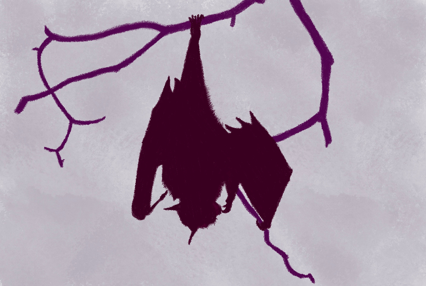 Pencil drawing of a burgundy bat hanging by one foot from a purple tree.