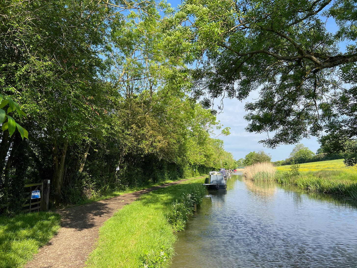 Photo by Author — a walk along a canal on an early summer morning — great for your mental health