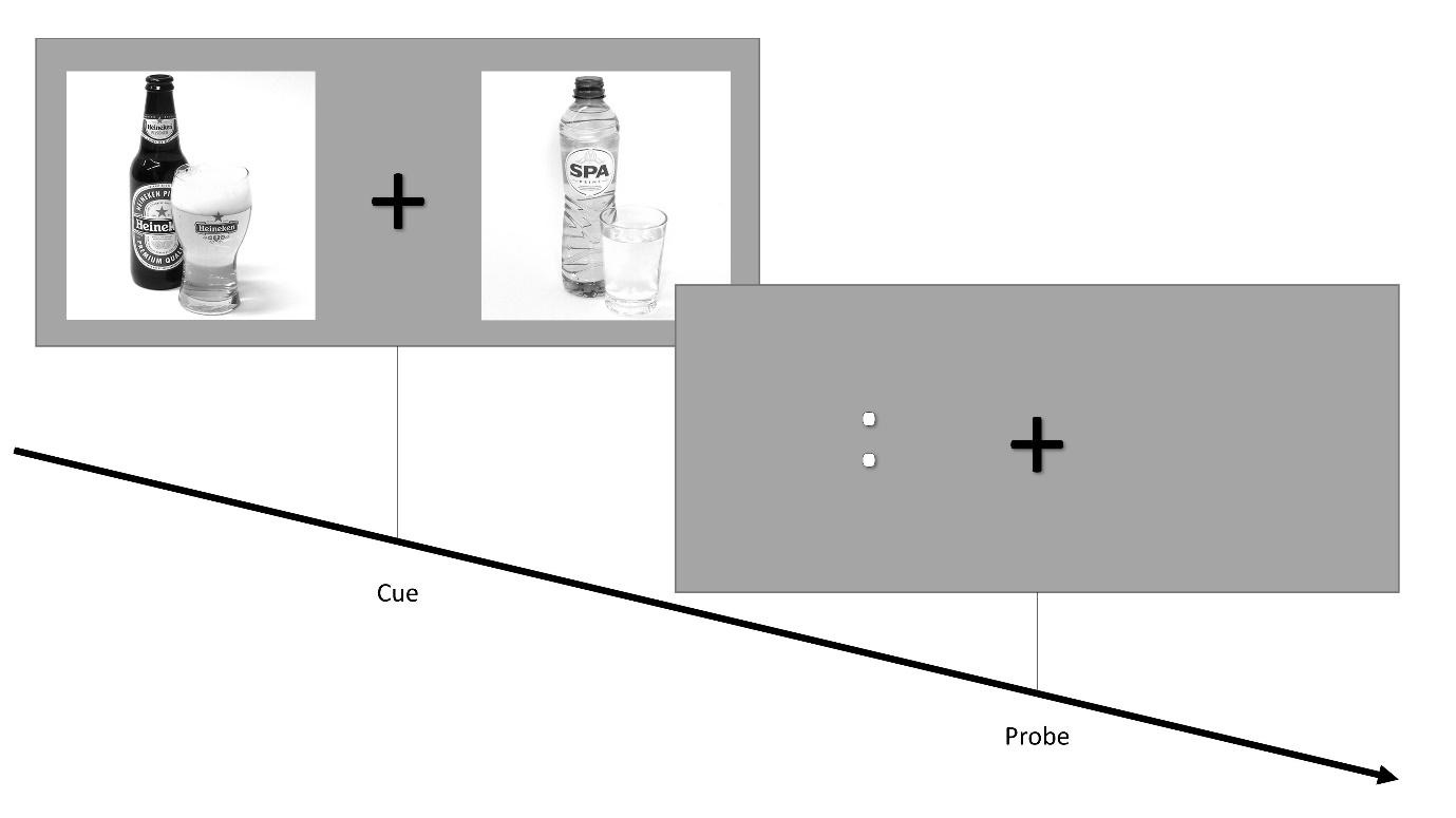 An illustration of the events in a trial on the dot-probe task. An example of a cue stimulus is presented near the start of a timeline. The has a central fixation cross, a picture of beer (full glass and bottle) on the left, and water (full glass and bottle) on the right. Further along the timeline is the probe stimulus. This has a central fixation cross. The probe consists of two dots, one above the other, presented to the left of the fixation cross. That is, the probe is presented at the location of the alcoholic cue.