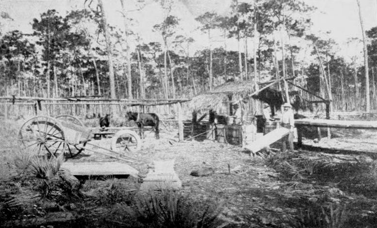  Figure 3: Coontie Starch Mill in South Dade