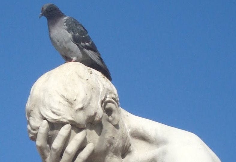 A ‘pigeon pope’, groundhogs in Texas, and being pro-life in London