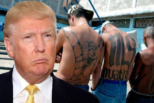 donald trump vs ms 13 gang