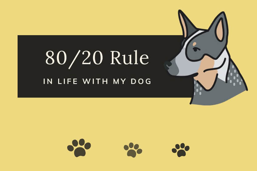 An icon of Scout the blue heeler next to text that says 80 20 Rule in Life With My Dog