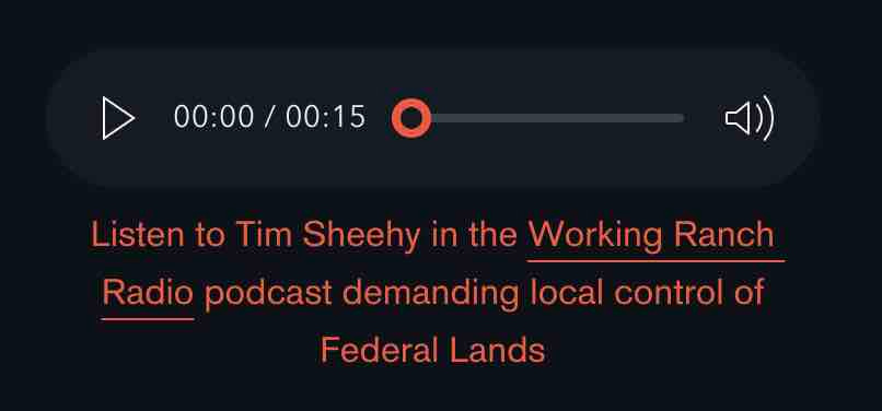 Listen to Tim Sheehy demanding local control of Federal Lands