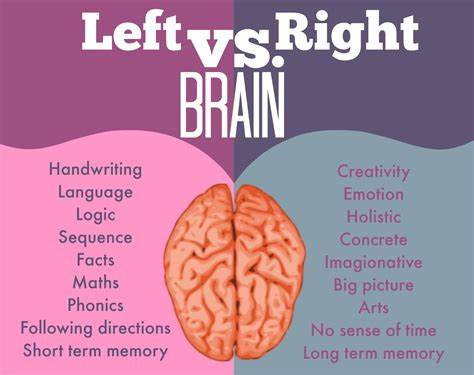 a muslim homeschool: Discovering right brain learning part 2: what is ...