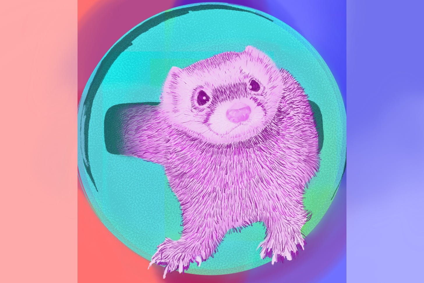Vivid colored pencil drawing of a fuchsia ferret emerging from the narrow opening of a turquoise-green container. Abstract colored patches in the background are coral and red, lavender and violet.