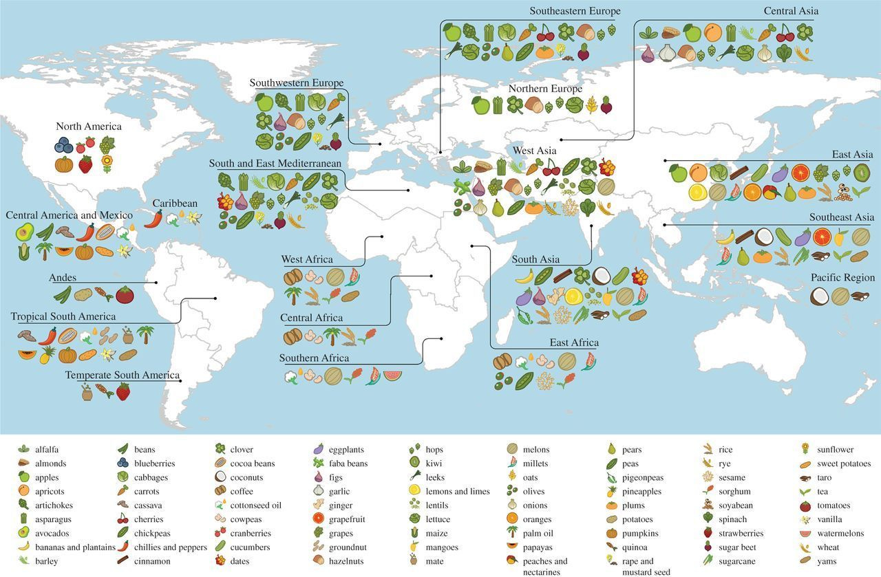 A Map Of Where Your Food Originated May Surprise You : The Salt : NPR
