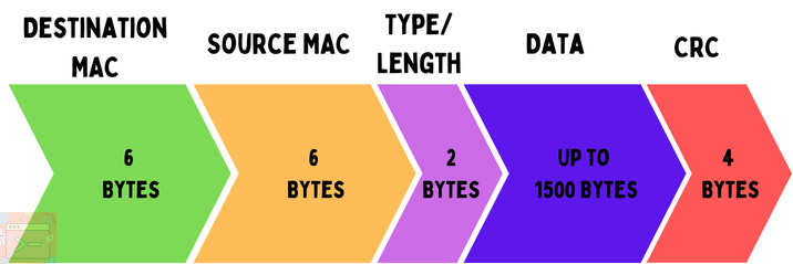 A Picture of an Ethernet Frame