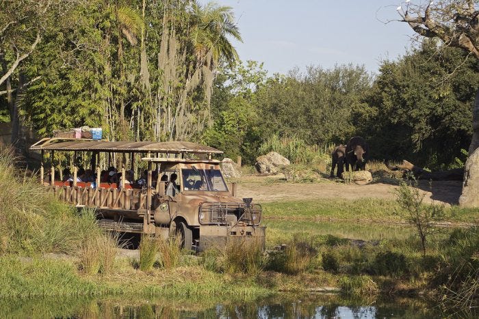 Everything You Need to Know About Kilimanjaro Safaris | TouringPlans.com  Blog