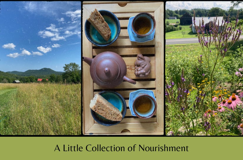 Three photos (a hilltop farm, a tea tray, and blue vervain) in a row above the text ‘A Little Collection of Nourishment’ on a green background.