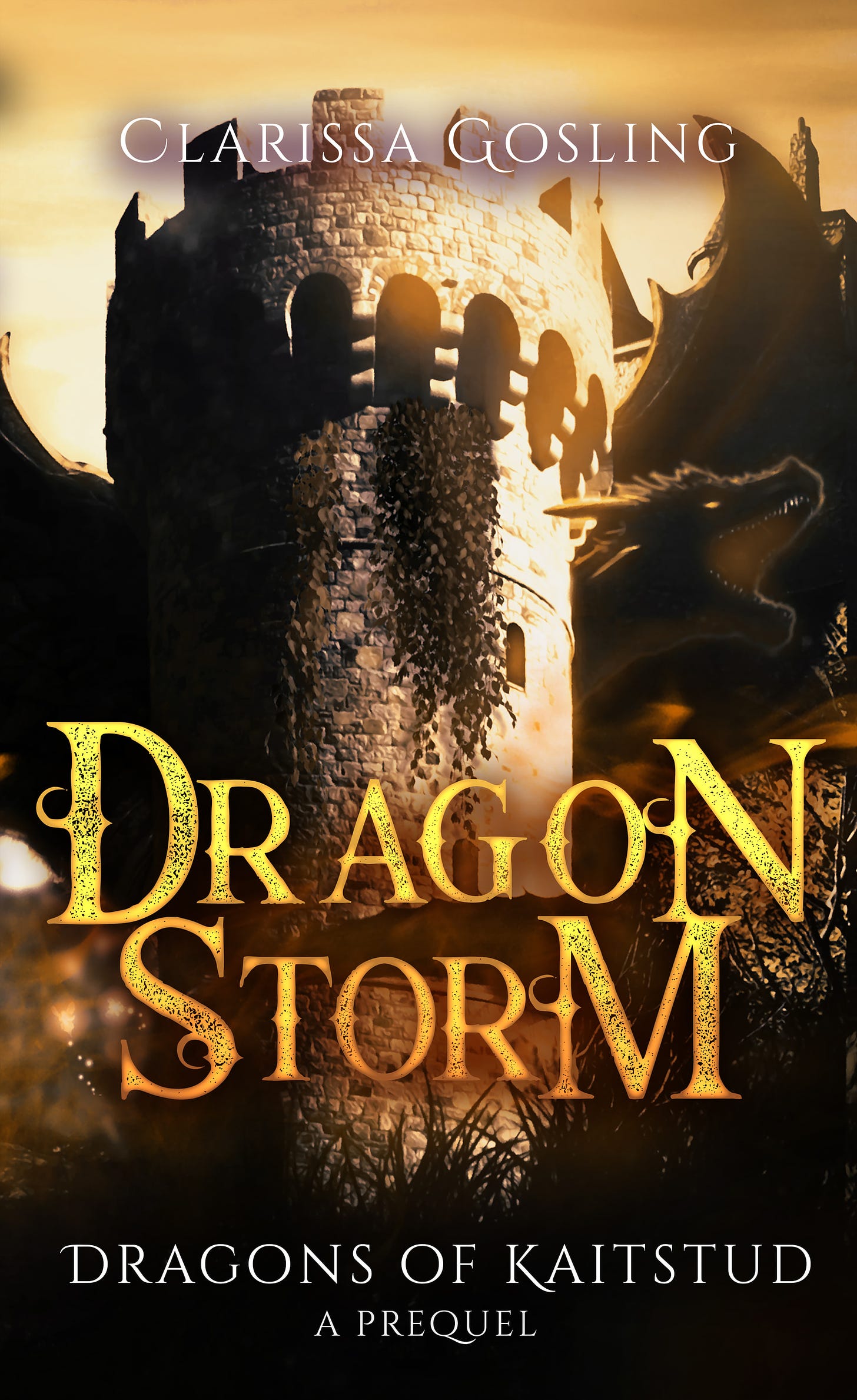 Dragon Storm book cover by Clarissa Gosling