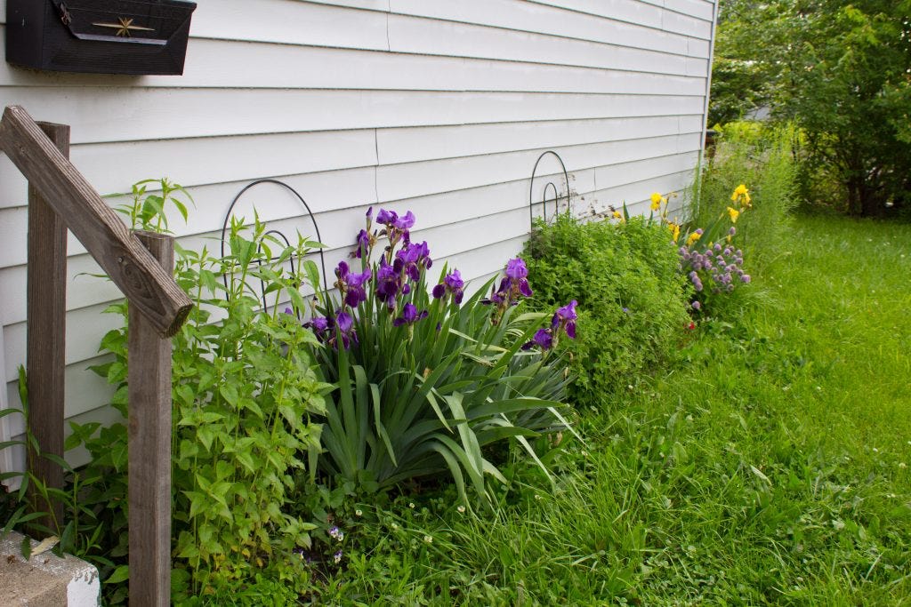 gardening in may 