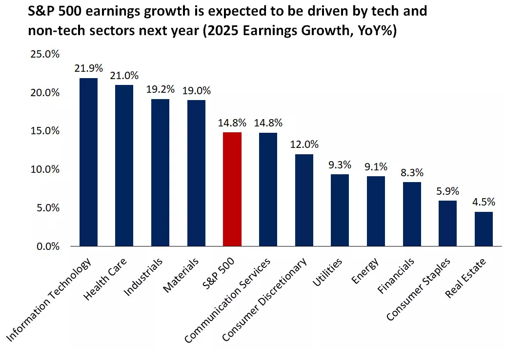  Earnings growth expectations for S&P 500 sectors in 2025
