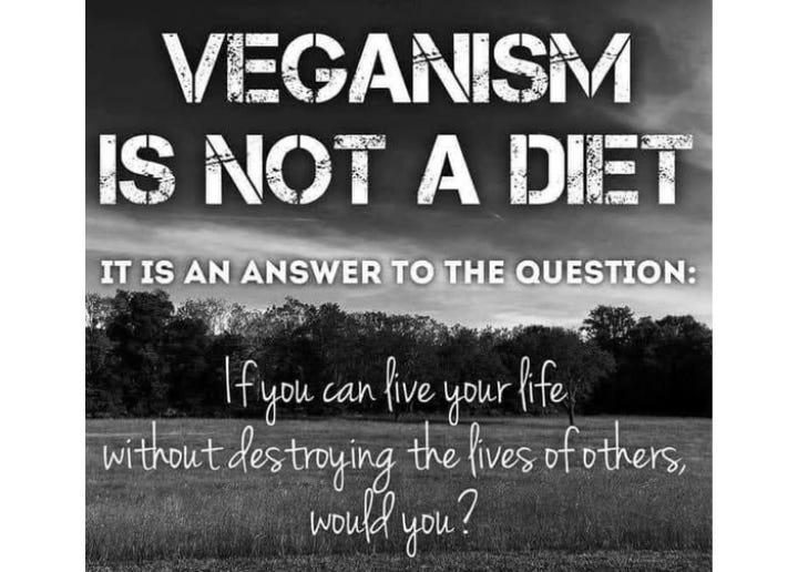 Rights aren’t granted—they’re fought for. Women, children, and even humans once had no “legal” rights, either. Denying animals their due just because laws lag behind is weak logic. Morality doesn’t wait for legislation to catch up. 🌱