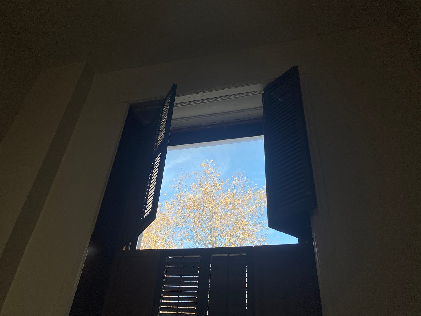 A window with shutters partially open, revealing a view of a tree with yellow leaves against a blue sky.