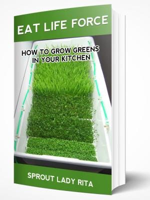 Eat Life Force ebook