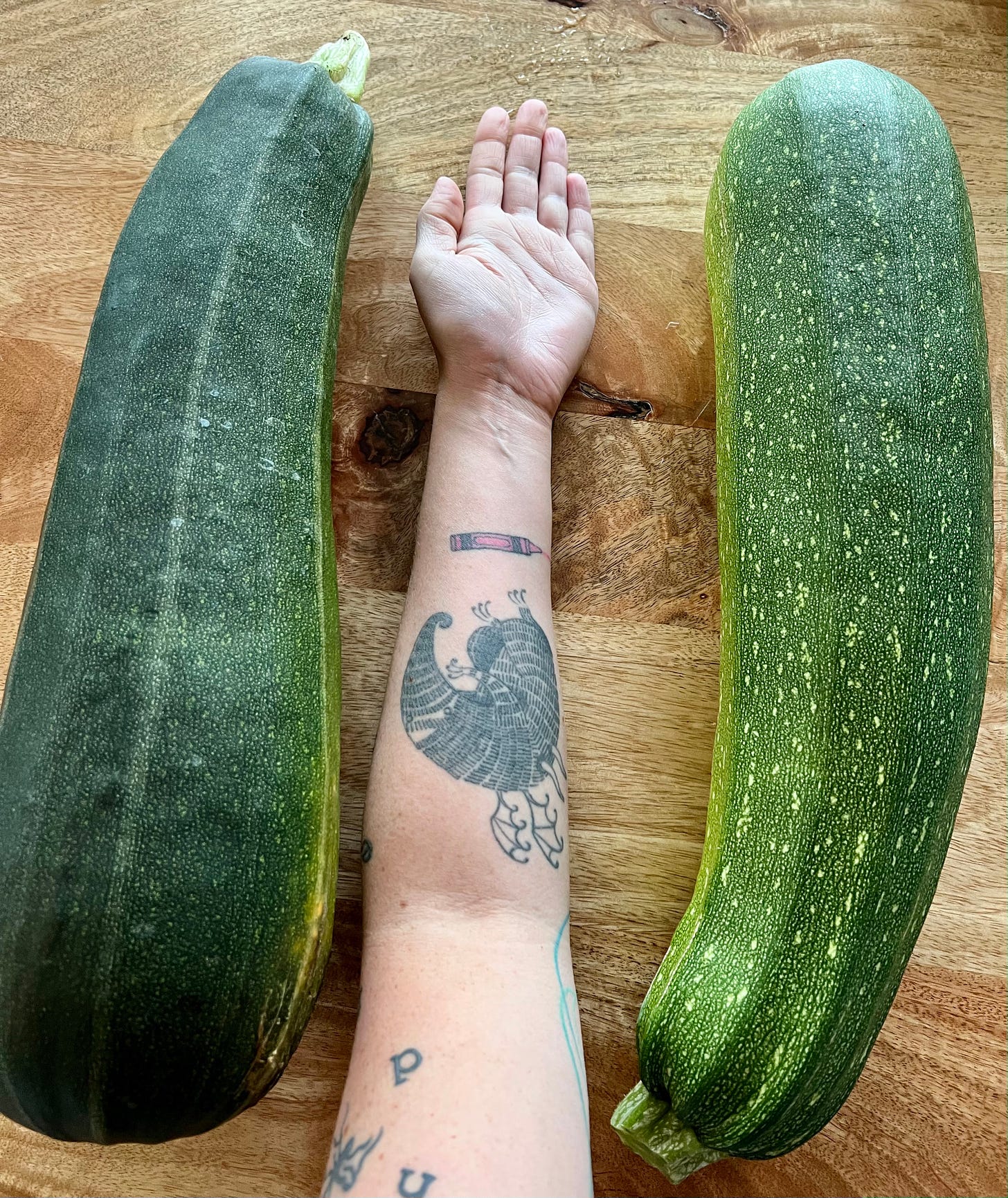 Photo of Jen's tattooed arm in between two very large zucchini.