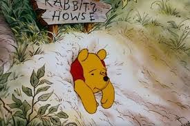How Much Honey Could Winnie The Pooh ...