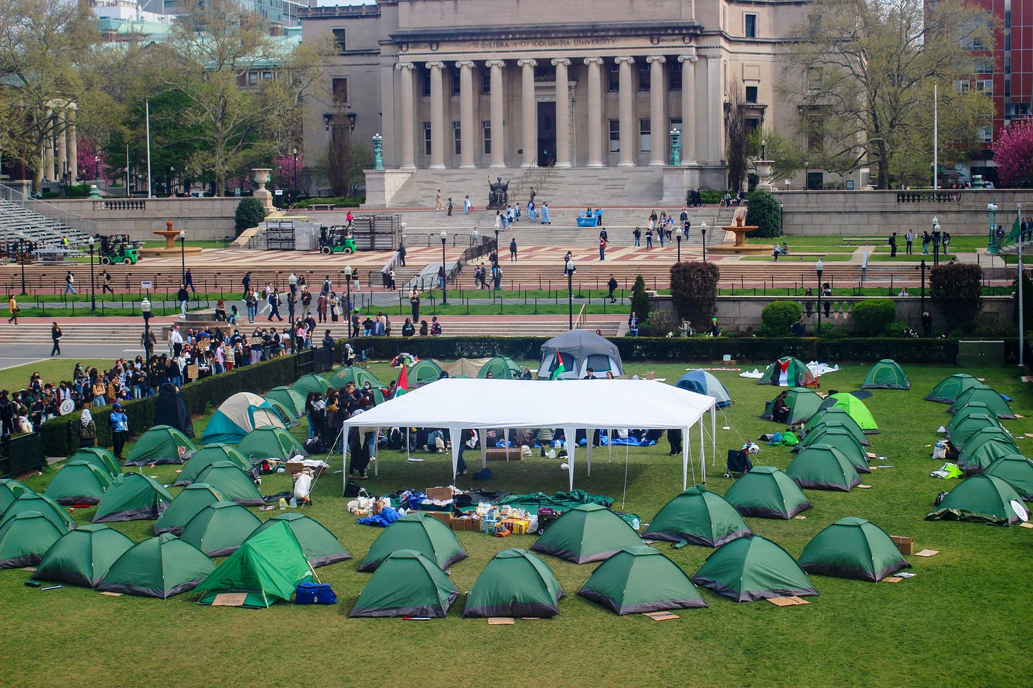 In Focus: The first 24 hours of the 'Gaza Solidarity Encampment'