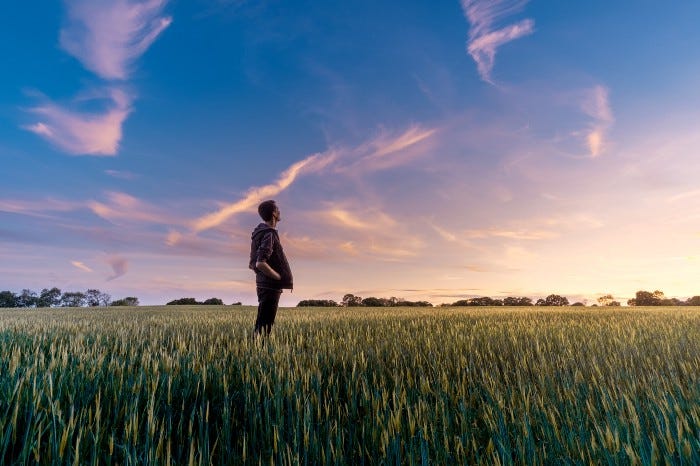 A man staring up at the sky in an empty field near sunset