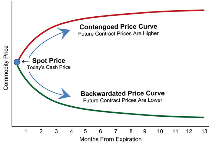 Contango and Cash - Educational Highlights