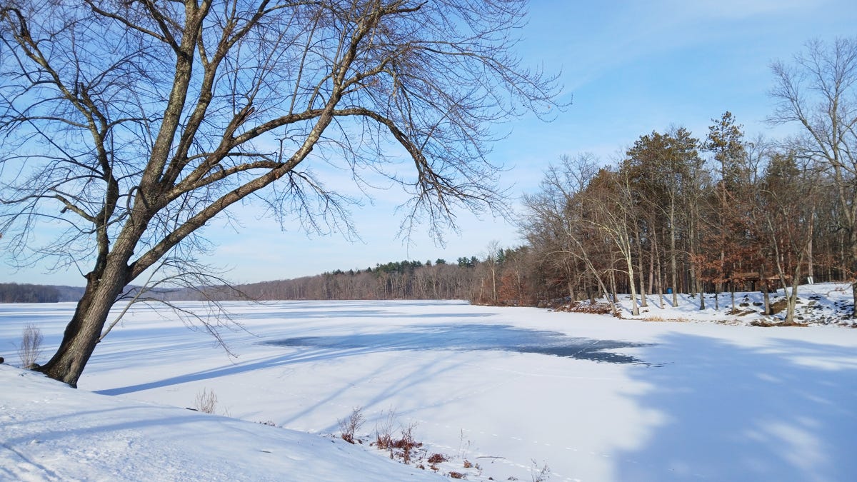 snow-covered lake and park