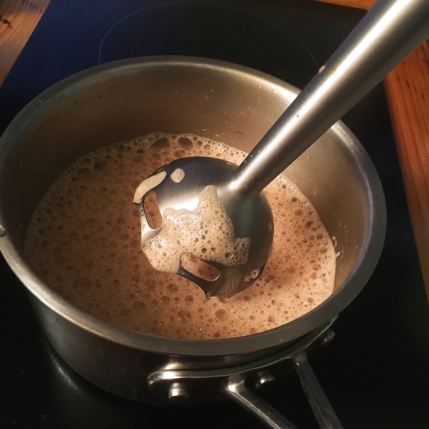 hot chocolate immersion blender