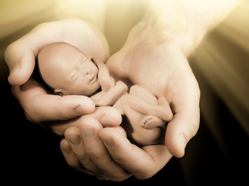 drawing of preborn baby held in person's hands