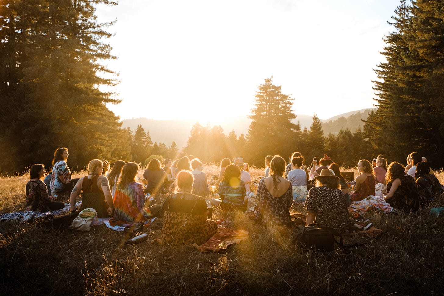women gathered amongst the redwoods at sunset