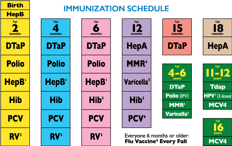 immunization schedule